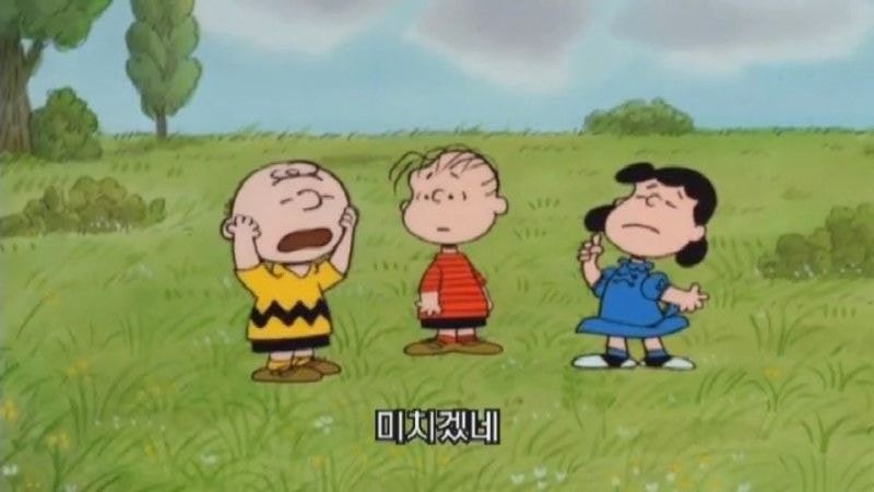 waaven__'s tweet photo. 시험 기간 •••
동숲 못하게 하다니 다 뿌셔발겨버리겠어 •• https://t.co/vvp9qy6spl