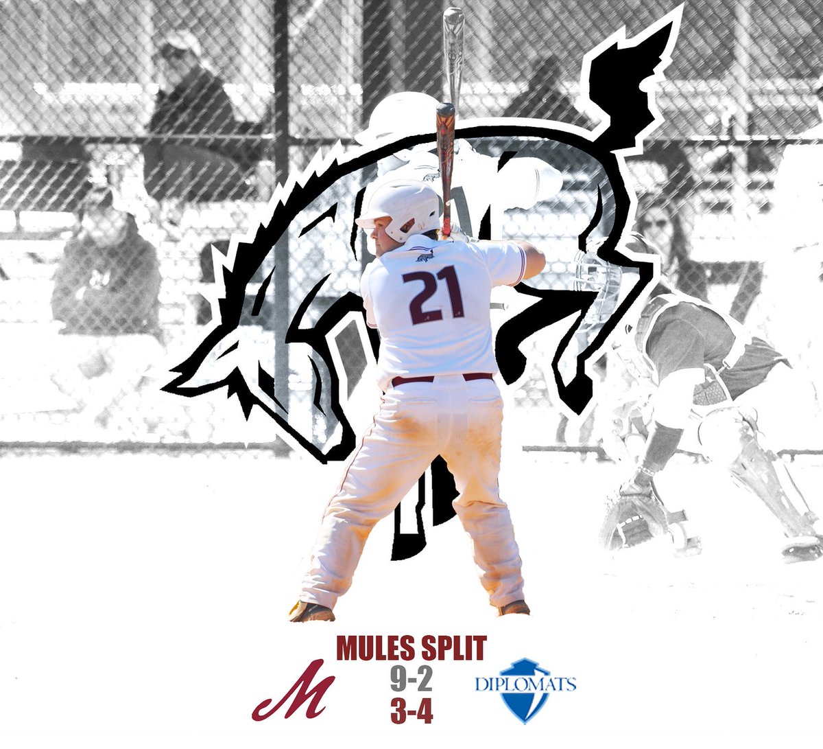 Muhlenberg Baseball tweet media