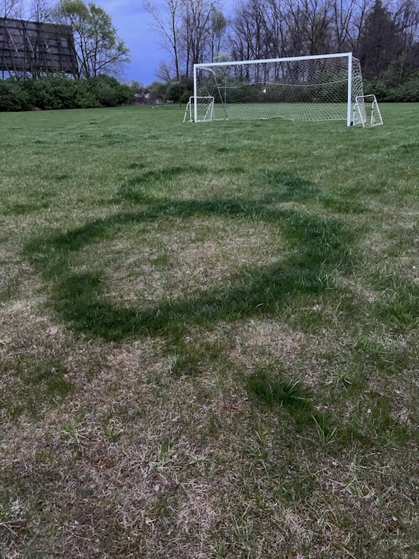 No paint, not mowed. Showed up in our backyard. Love you 8