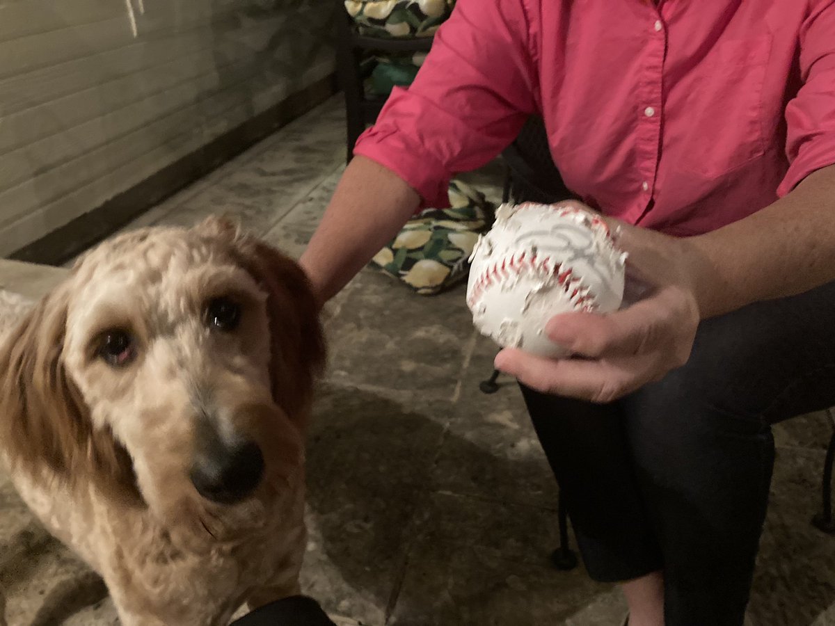 erinskelley's tweet photo. @HipHipJose5 @Yankees My friend’s 8-year old son Colt got an autographed ball from you in Corpus but his puppy opened the protective case and destroyed the ball with no regret or remorse. The dog thought it was delicious but Colt is heartbroken. Any chance of getting another one? https://t.co/F87x18EKT6