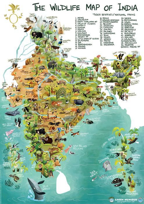 The wildlife map of India