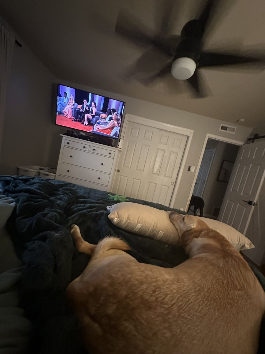 baileybreee's tweet photo. Barry is not impressed https://t.co/5WUL6PSLrz