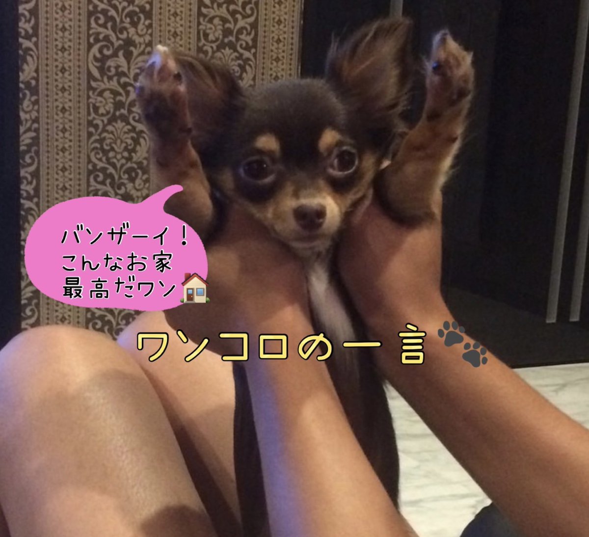 nextplus1114's tweet photo. 久しぶりにいいお天気ですね☀本日の新築戸建お勧め情報です(*'▽')/♪ #蓮田駅徒歩18分 #敷地面積35坪 #並列2台駐車 #新築戸建 #陽当り良好 #3500万円以下 #ペットも喜ぶ #庭 #蓮田南小学校区 #田園風景 #4LDK #NEXTplus #最高等級取得 #耐震等級 #不動産投資 #蓮田市 https://t.co/c0ATDSIvVA