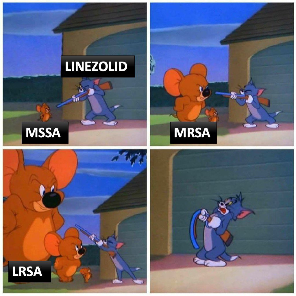 simplify_drugs's tweet photo. Resistance 🥺

#pharmacology #MedStudentTwitter #MedTwitter https://t.co/KZJTeONopq