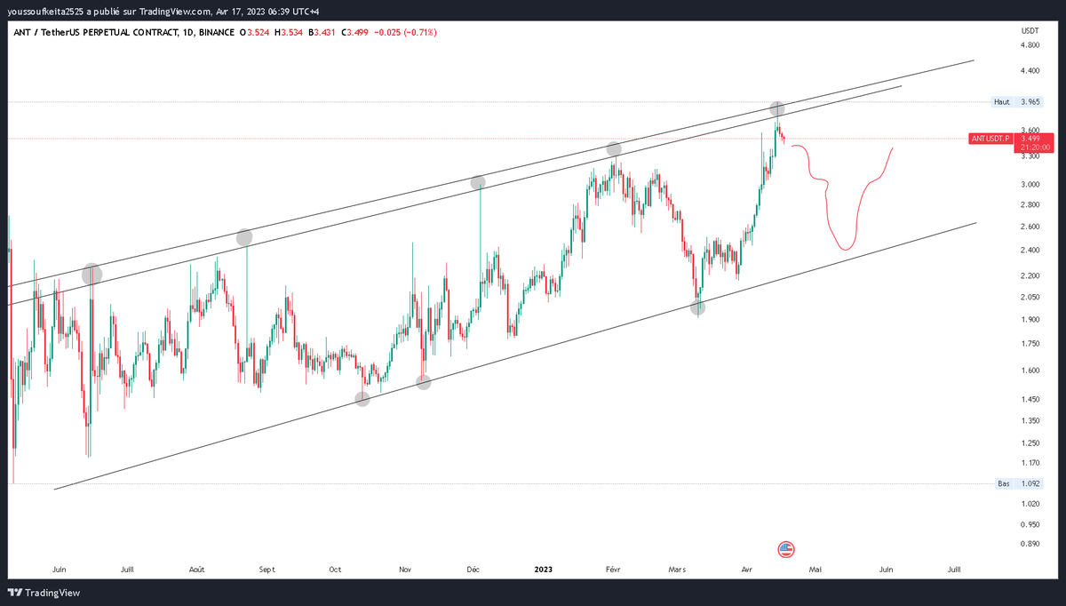 Cryptomoisey tweet media