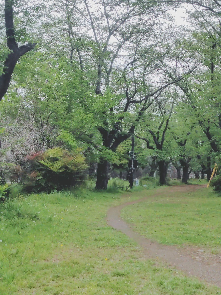mobileochako22's tweet photo. あなたならどの路を選ぶ
？ https://t.co/LFafb1b6Jj