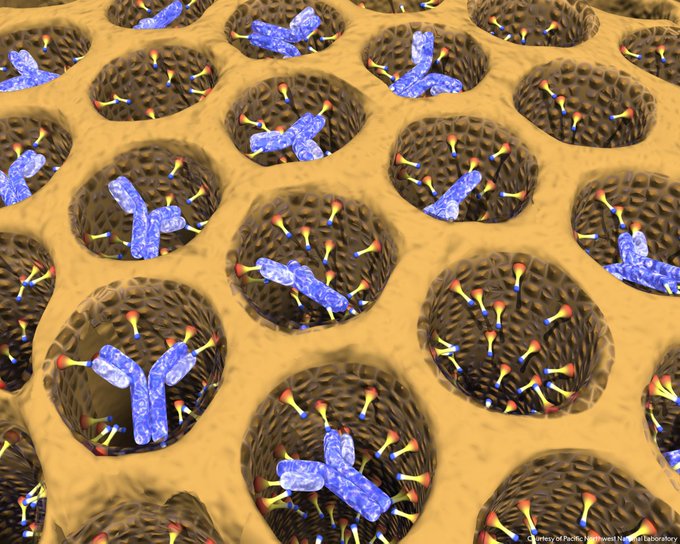 A brown background with circular-shaped "holes" with coloured antibodies within the holes. These are small chemical ornaments (cones) slowing the release of anti-cancer antibodies (blue) from this functionalised mesoporous silica (orange).