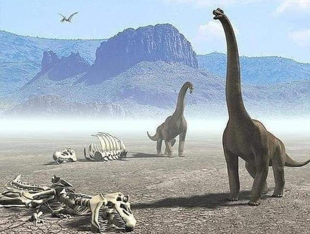 EnsedeCiencia's tweet photo. UNA MALA ESTRELLA

Una de las más interesantes y fundamentadas hipótesis, formulada por primera vez por Schklovskii, del Instituto de Investigación Cósmica de la Academia de Ciencias de Moscú, es la de que los dinosaurios murieron a causa de la explosión de una supernova próxima.

El estallido de esta estrella moribunda, situada a unas decenas de años luz, ocasionaría un inmenso flujo de partículas cargadas de alta energía que penetró en nuestra atmósfera, alteró sus propiedades y tal vez destruyó las capas de ozono atmosférico, permitiendo la filtración de cantidades mortíferas de rayos ultravioleta. Es posible que los animales noctámbulos, como los mamíferos de aquella época, o los animales que vivían en el fondo de las aguas, como los peces, sobrevivieron a esta fantástica radiación de ultravioletas de gran potencial energético. Pero los animales que merodeaban a la luz del día y que vivían en la tierra o en la superficie de las aguas, sufrirían más que ningún otro las consecuencias de la dañina filtración. Esta catástrofe recibiría una denominación apropiada: el término en sí pasaría a significar "mala estrella".

Suponiendo que esta concatenación de hechos sea exacta, el flujo principal de la evolución biológica en el planeta Tierra durante los últimos sesenta y cinco millones de años, y, ni que decir tiene, la existencia misma del ser humano, es el resultado de la extinción de un distante sol.

Tal vez otros planetas giraban en su órbita y quizás uno de ellos conoció una rica eclosión de formas biológicas evolucionadas penosamente a lo largo de miles de millones de años.

No cabe duda de que la explosión de la supernova hubiese extinguido todo tipo de vida en este planeta y hasta, probablemente, diluido su atmósfera en el espacio.

¿Debemos nuestra existencia a una sobrecogedora catástrofe estelar que por otra parte, destruyó mundos y biosferas?

Carl Sagan - Los dragones del Edén