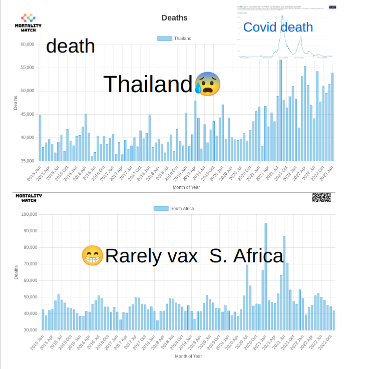 วักซีน โควิด อันตราย ตายพิการ tweet media