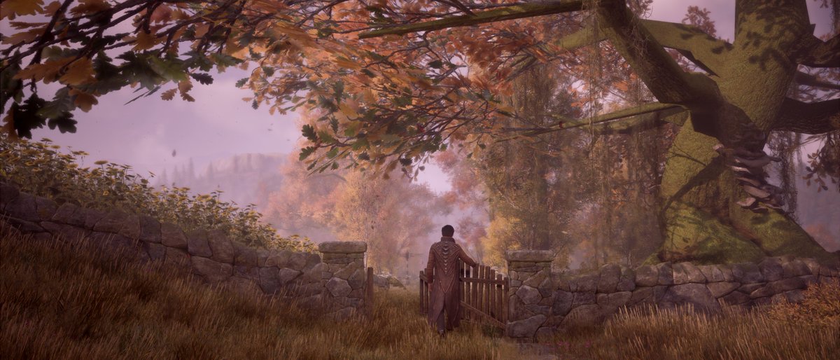 PolarNinjaPhoto's tweet photo. Autumn Arrives

#HogwartsLegacy #LandscapeMonday #OctoberCountry https://t.co/cL8rvfjLEO