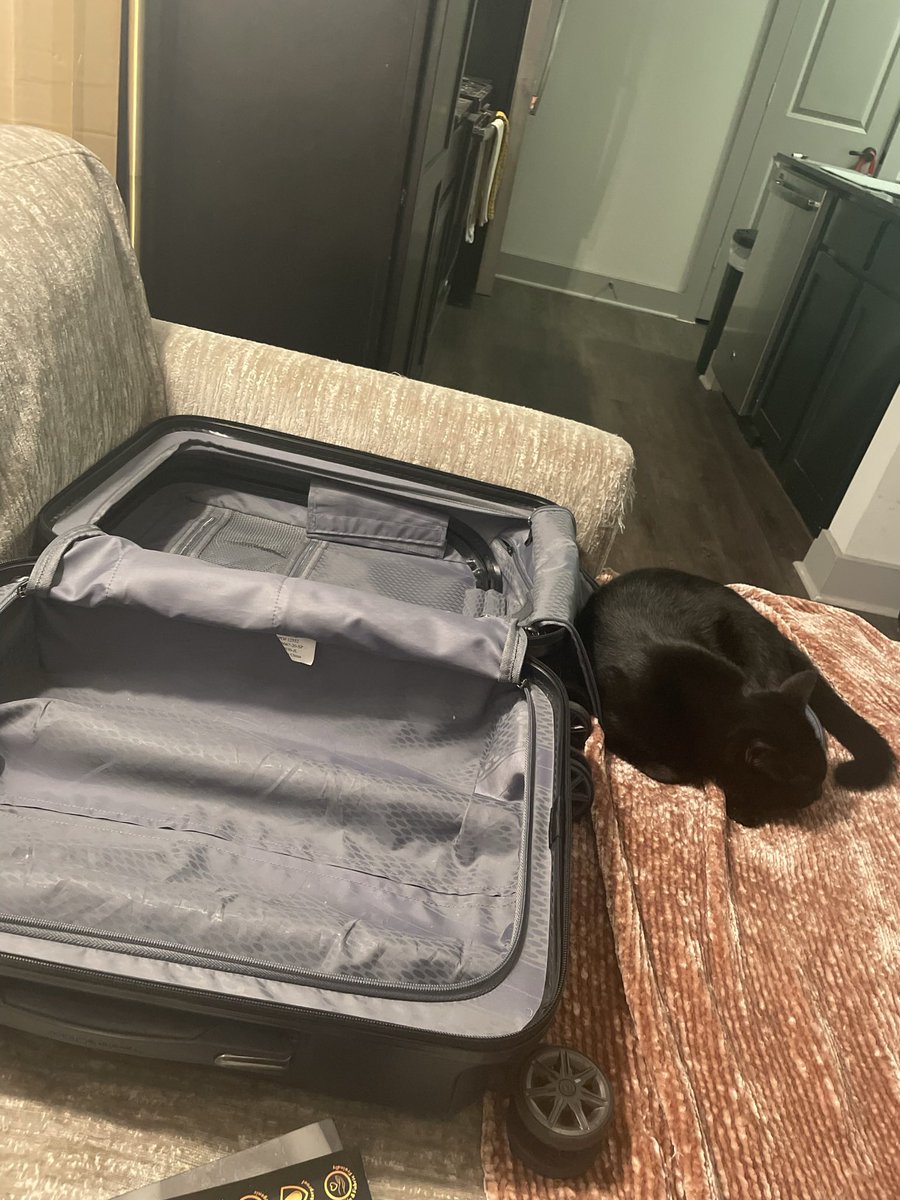 Emmy knew I was leaving :(