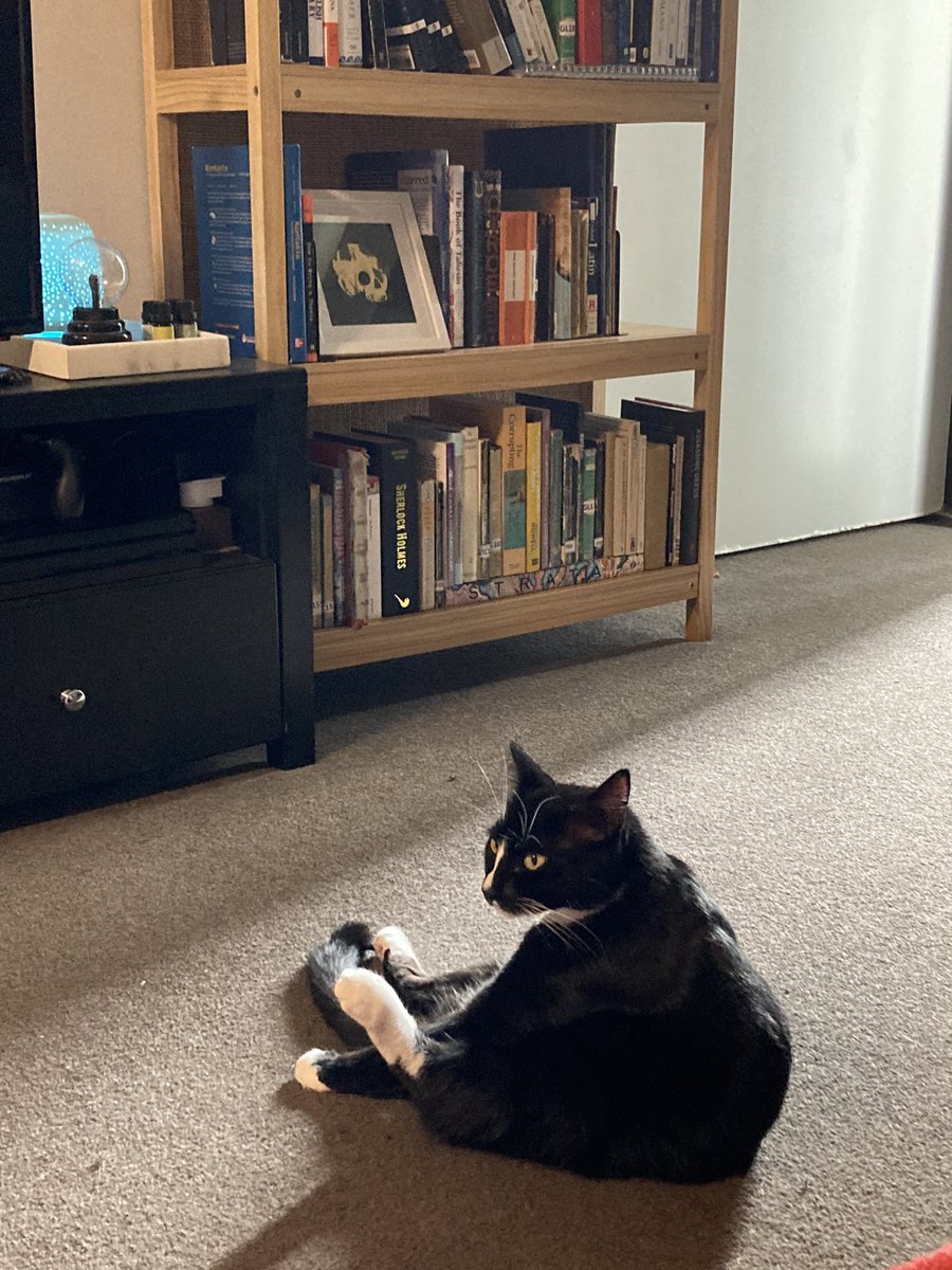 Saskia Herren (@holyzeusalmight) on Twitter photo 