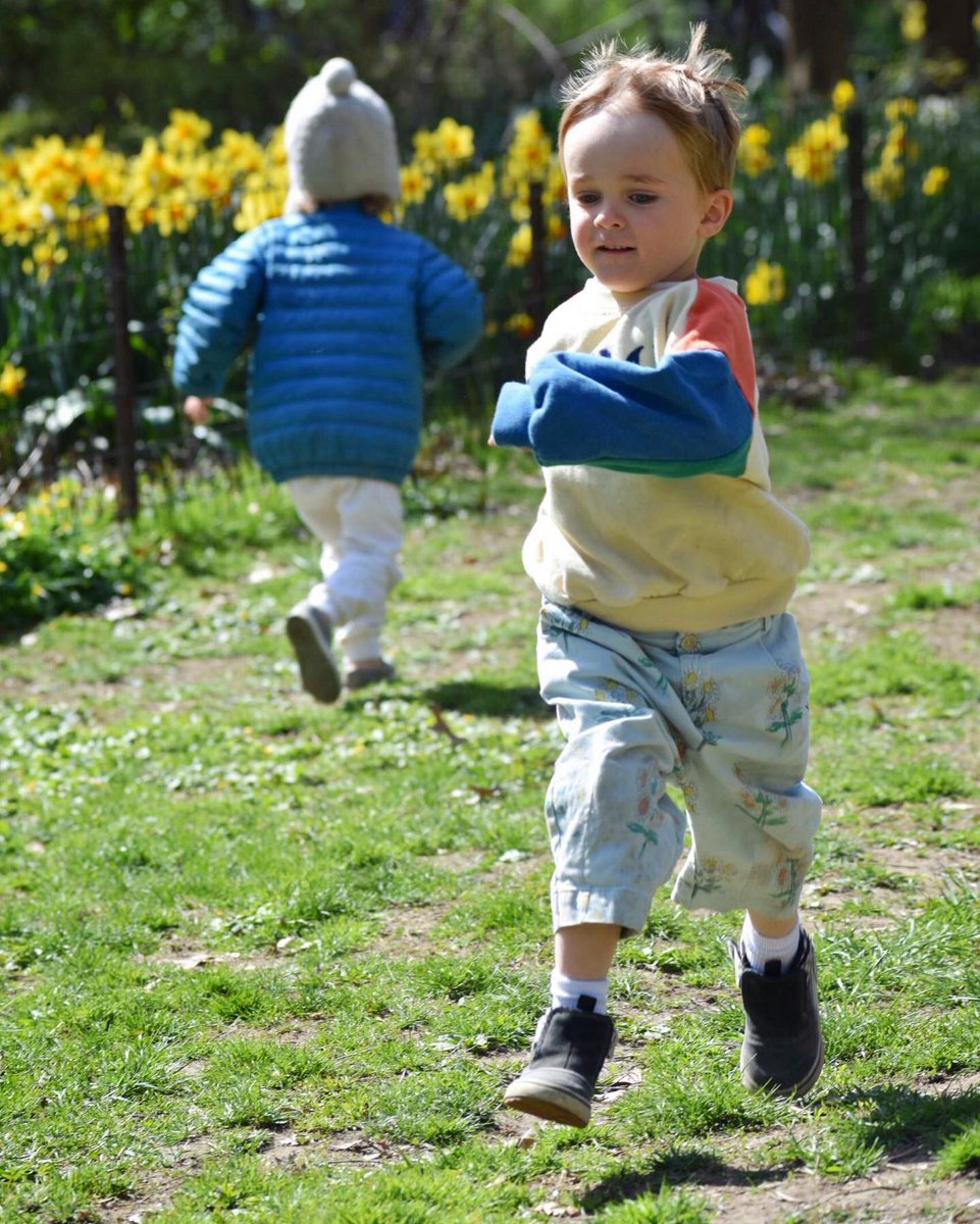SteinerSchoolNY's tweet photo. Young children are all movement & are very happy when being in nature. #steinerearlychildhood #steinerstudents #freeplay #playingoutdoors #learningbyplaying #buildingcapacities #childdevelopment #waldorfeducation #steinerschoolny #preservingchildhood #kingdomofchildhood https://t.co/kRb5SopTiH