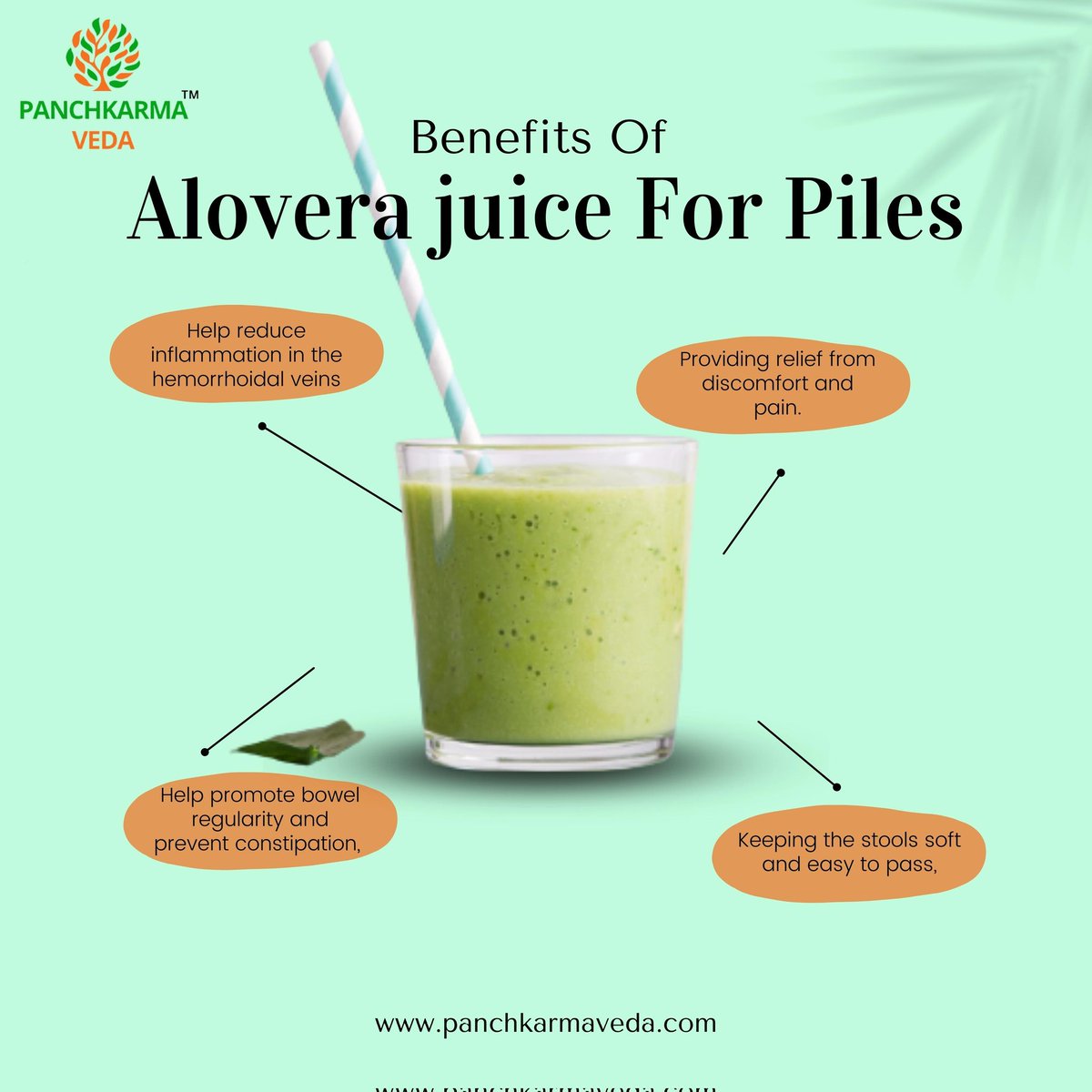 Benefits Of Aloe Vera Juice For Curing Piles At Home.

panchkarmaveda.com
#ayurveda #piles #naturalremedies #PANCHKARMAVEDA
#AyurvedaForBetterHealth #HerbalHealing #NatureCures #AncientRemedies #AyurvedicMedicineWorks #HealingTheNaturalWay #AyurvedicLifeStyle #HolisticHealth