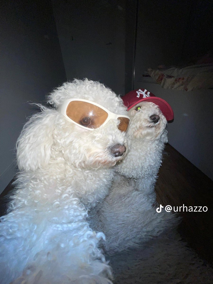 Me drunk as hell making everyone take selfies with me