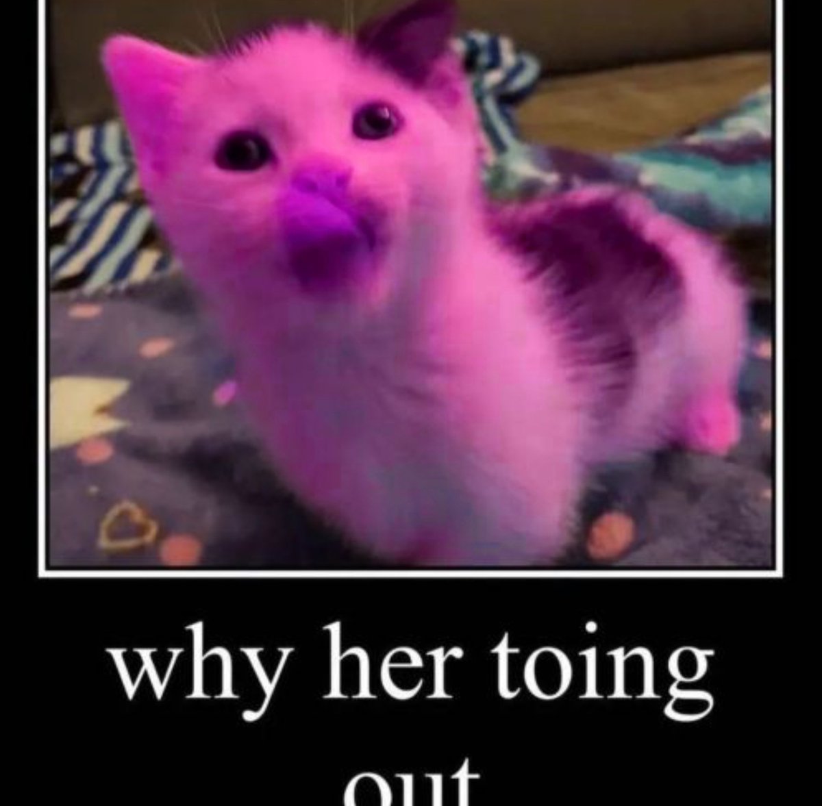 Hum_Pinky's tweet image. why mah  toing out  :P