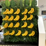 ドンキーコングのボーナスステージを連想させるバナナを飾ったお店を発見!