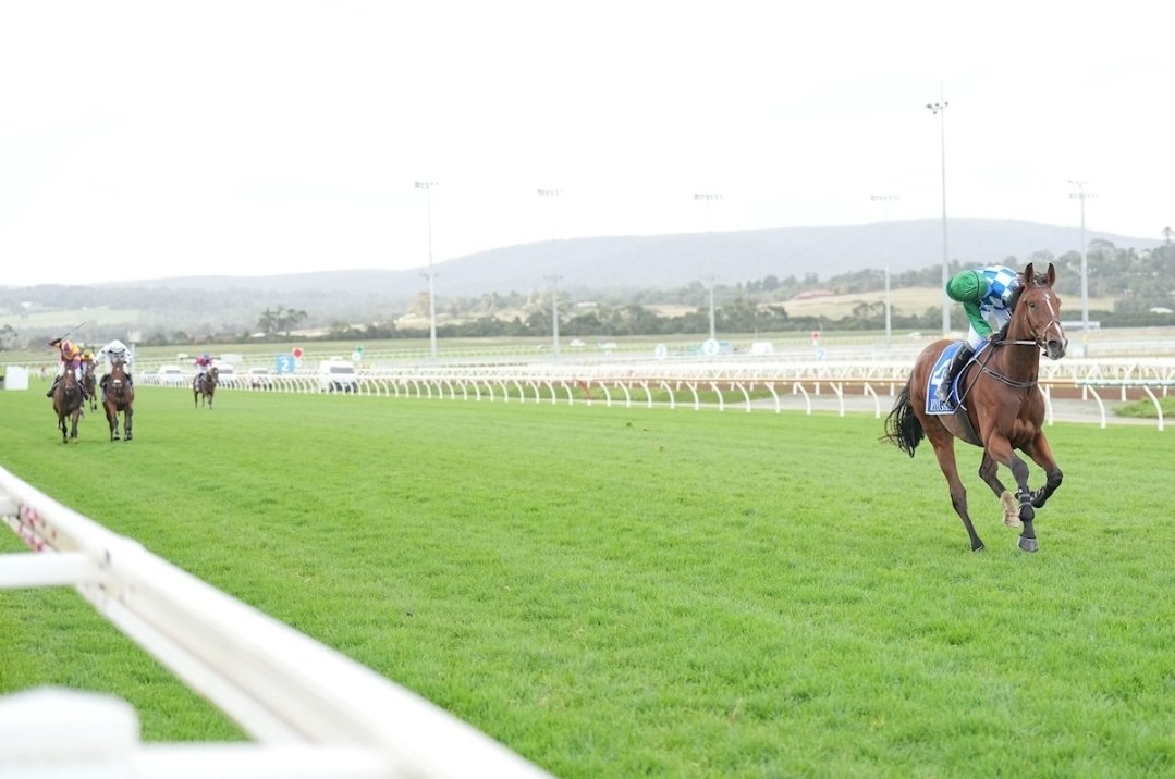 Ciaron Maher Racing on Twitter "Stern Idol's submission to the Oxford