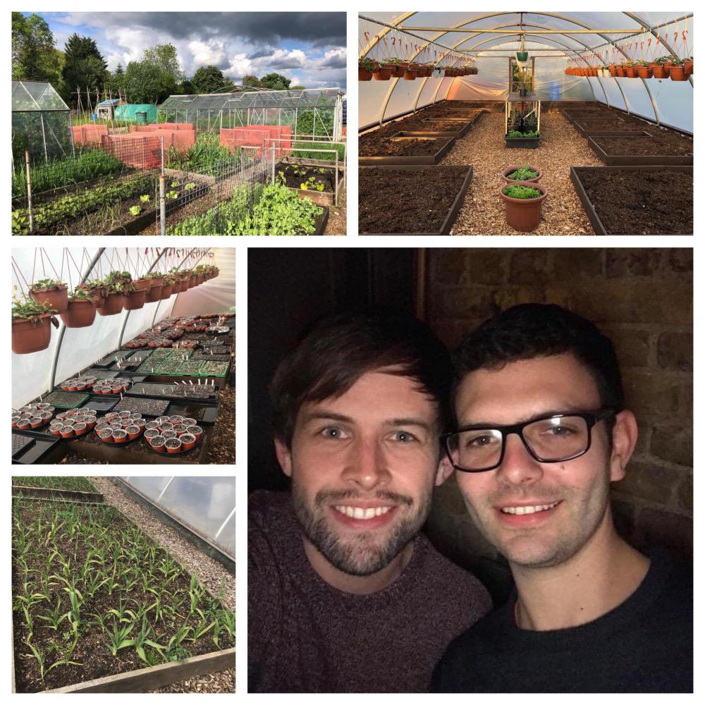Meet Nathan & Daniel and see what they’ve been up to on ‘Nathaniels Allotment’🌱 allotmentonline.co.uk/useraccount/po… #allotmentdiary #allotmentblog #gyo
