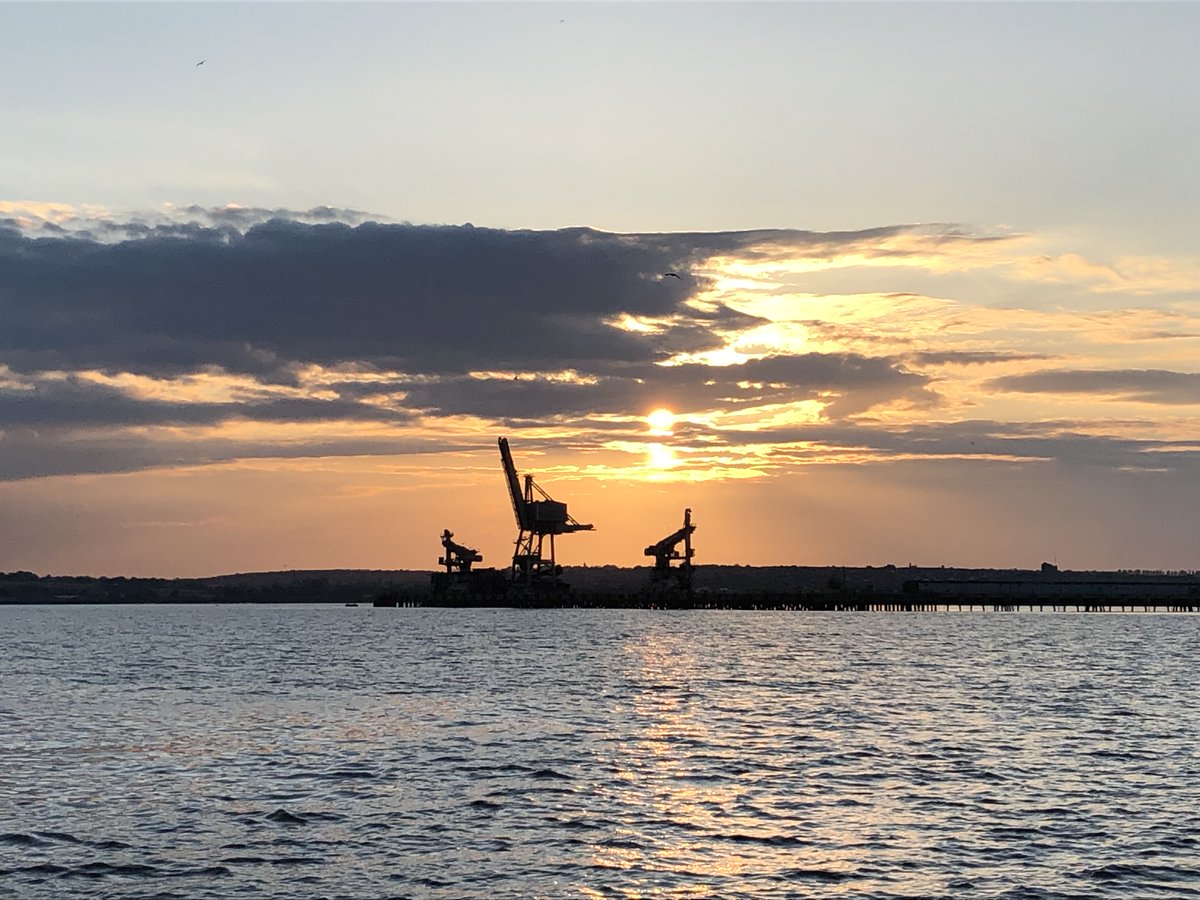 Bird Wise North Kent tweet media