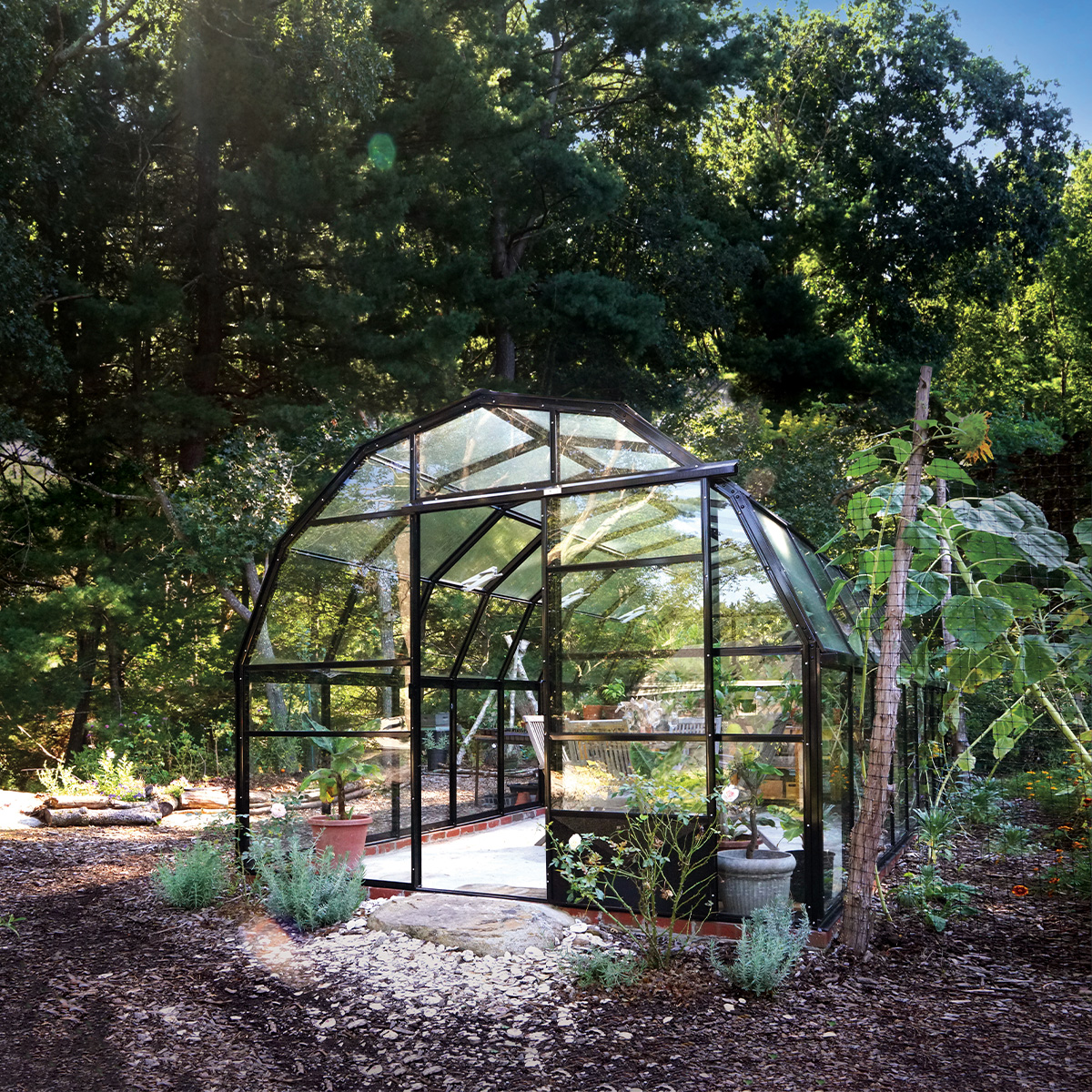 Hartleybotanic's tweet photo. I always wanted a #Greenhouse but was not very experienced as a #Greenhousegardener when I first started. I absolutely love it.”
#Highgrow, Massachusetts, USA

https://t.co/ja9AJldZRC
#ecofriendlylifestyle #growinginyourgarden #greenhouseinspo #gardencore https://t.co/9Aq4iXAhKr