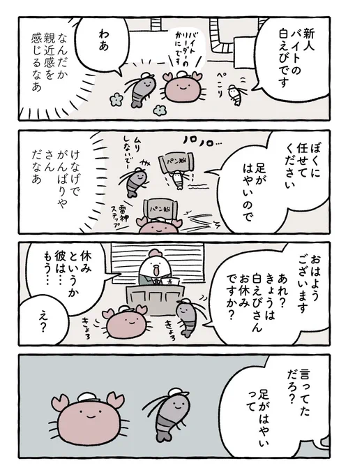 白えびさん #ホワイトタイガーとブラックタイガー 