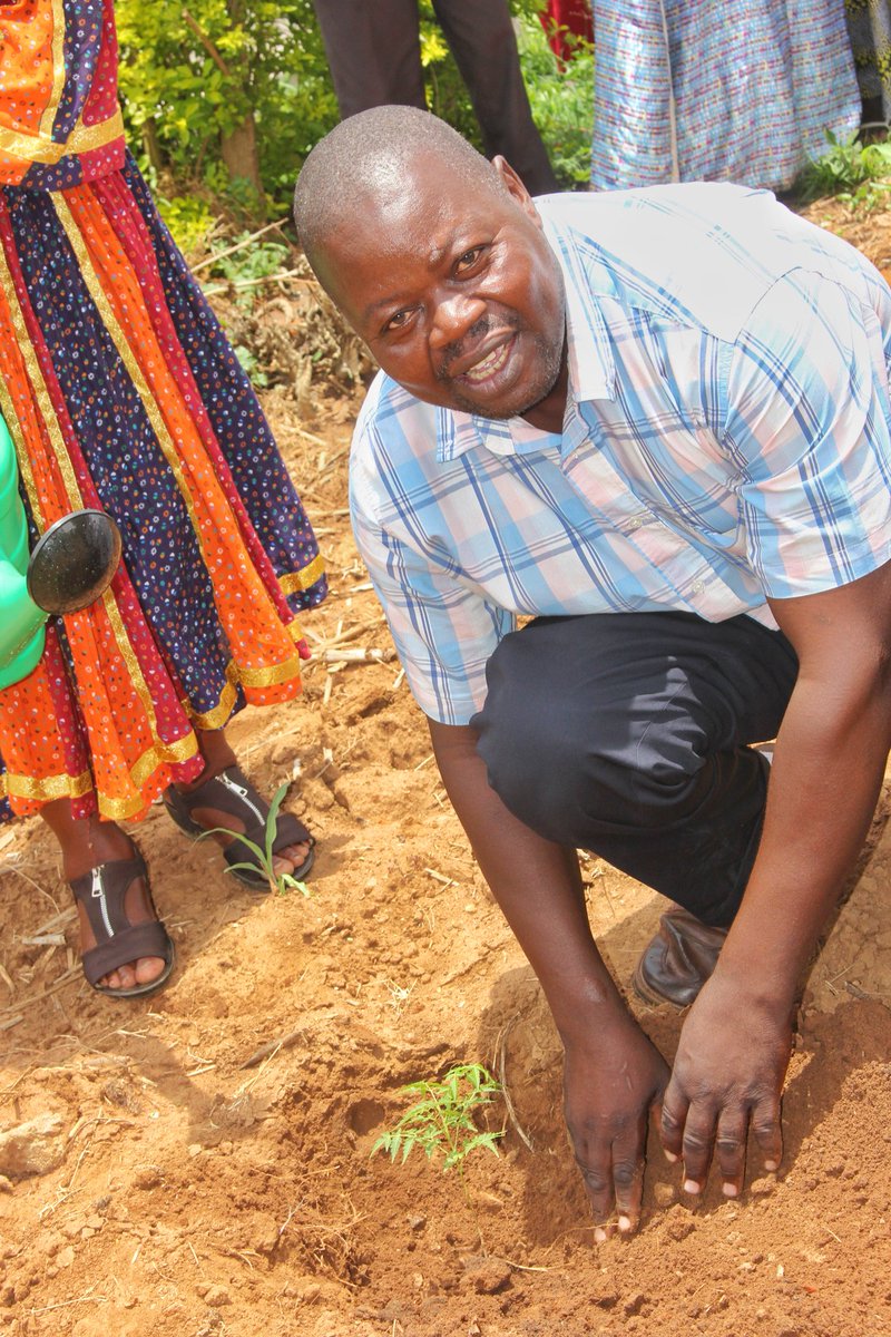 RedefiningTro's tweet photo. Who knew planting trees could be this jovial
This was during the official launch of #LERWA - Land and Environmental Rights Watch Africa Ltd a not for profit organization focusing on facilitating local communities understand their needs in as far as land and environment https://t.co/rXzv1vZ3BP