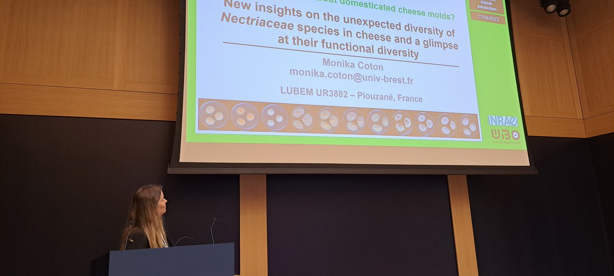 Session 2 on intra- and interspecific variation of food and indoor fungi started. Keynote speaker Monika Coton will present her data on the unexpected diversity of Nectriaceae species in cheese and a glimpse at their genetic and functional diversity. <a href="/_Westerdijk_/">Westerdijk Institute</a> <a href="/CotonMonika/">Monika Coton</a>