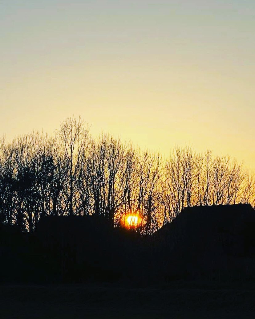 “For I am about to do something new. See, I have already begun! Do you not see it? I will make a pathway through the wilderness. I will create rivers in the dry wasteland.”
Isaiah 43:19 NLT
bible.com/bible/116/isa.…