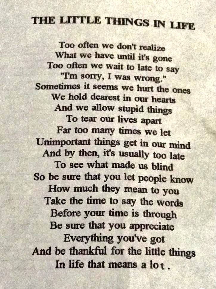 THE LITTLE THINGS IN LIFE...