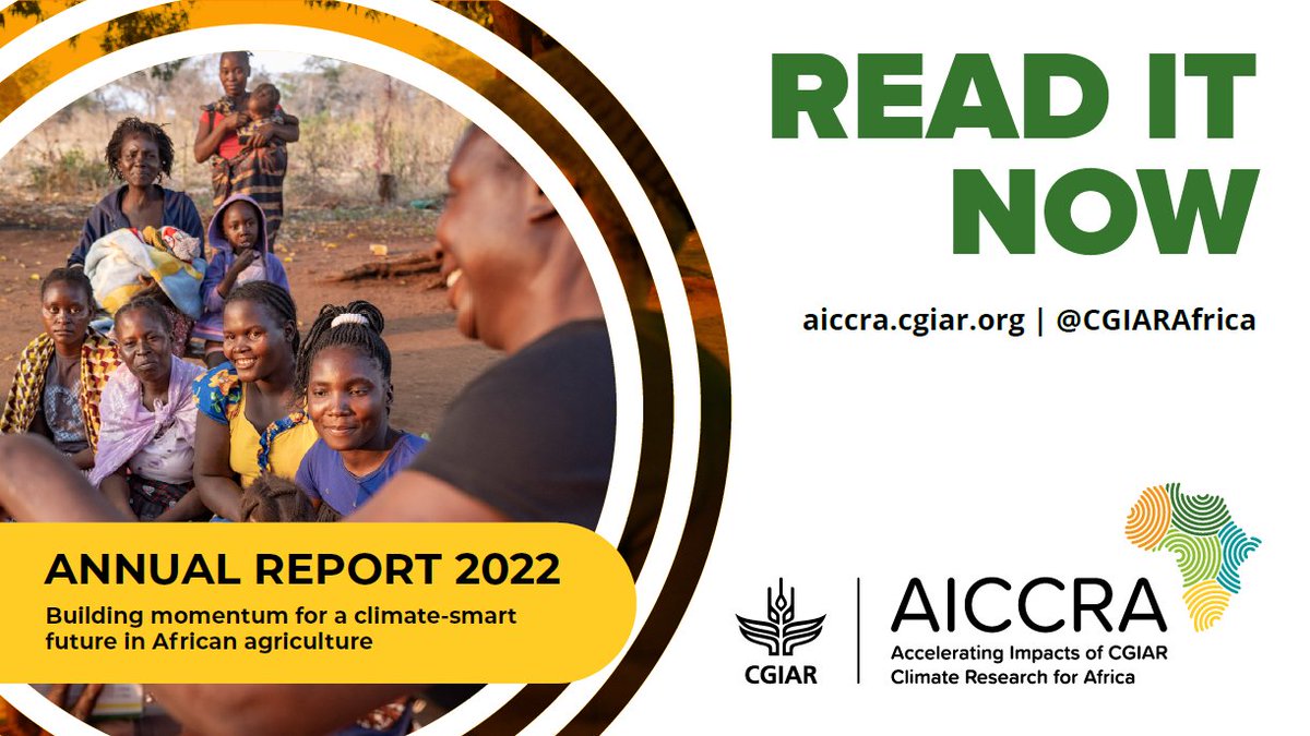 Having reached nearly 3⃣ million farmers by the end of 2022, AICCRA and our growing network of partners are building momentum for a climate-smart future in African #agriculture 🌾🌍

Read our latest annual report 👉bit.ly/AICCRA2022

#ClimateSmartAfrica #OneCGIAR #IDAWorks