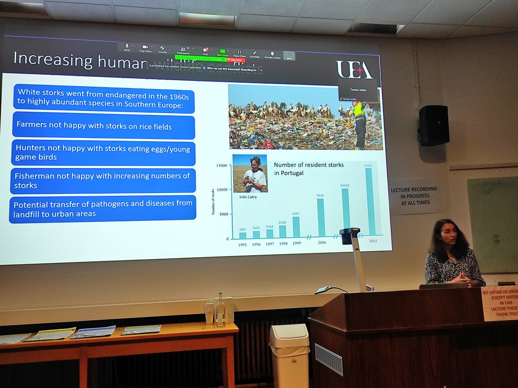 Eco-transitions in the anthropocene: the @PawsWeb conference is off to a brilliant start as Dr.@AldinaFranco from the #UniversityofEastAnglia speaks on tracking white storks in landfills, migratory pathways, access to food waste & human-stork conflict @OxfordBiology @india_oxford