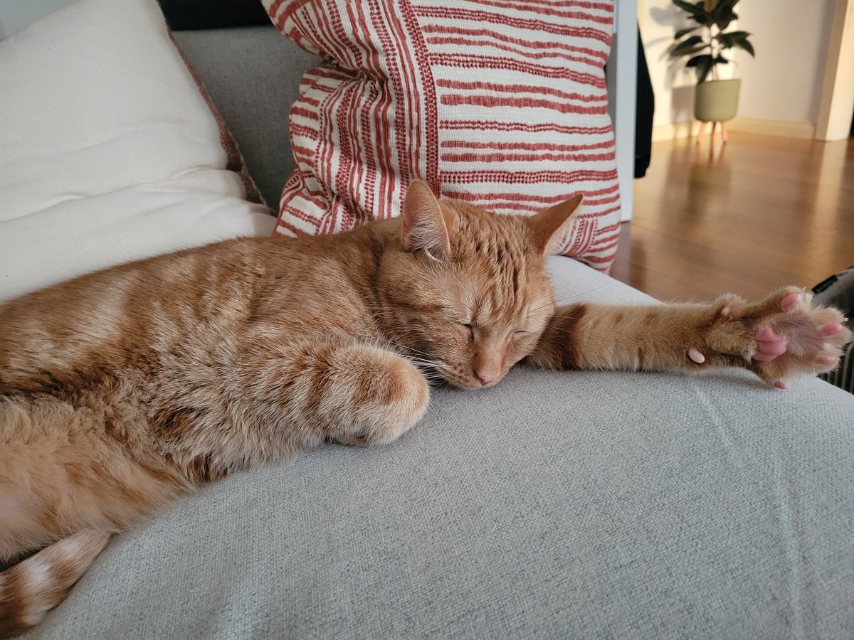 Jordan Levinter tweet media