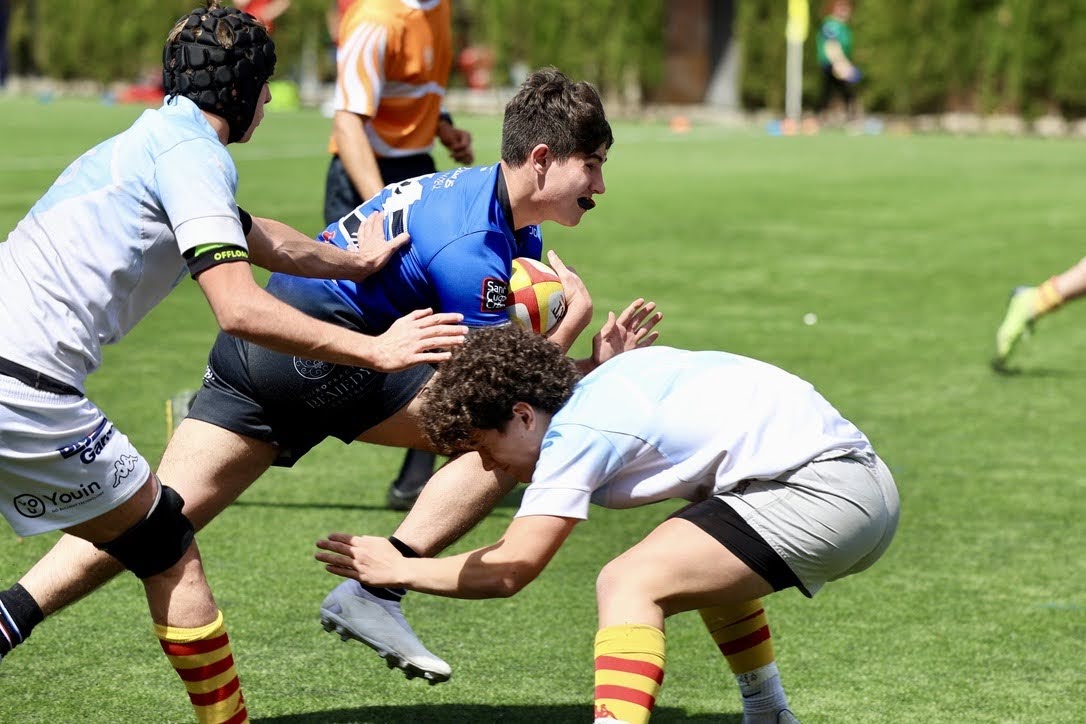 Federació Catalana de Rugby tweet media