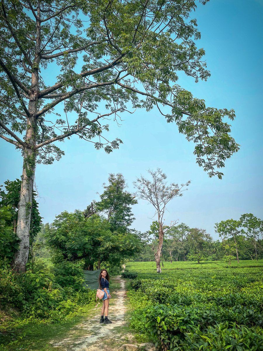 Dhrishni Thakuria on Twitter: 