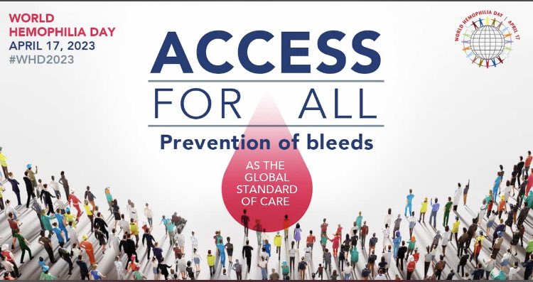 patrixiaes's tweet photo. Hoy Dia Mundial de la Hemofilia, quiero dar las gracias a todos los que hacéis nuestras vidas mas fáciles!!!
#DiaMundialdelaHemofilia
@hemofiliamadrid 
#WHD2023 https://t.co/AgtUhKglVp