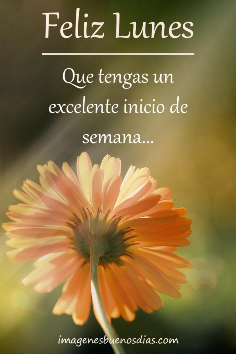 Buenos días💕
Feliz lunes☕🎶💃
Fantástico inicio de semana🌼para tod@s🌹con ganas,ilusión y buena actitud😉💪
Besos🥰y abrazos🤗con cariño🌹🙂
       Sean felices💕🎶💃🥳