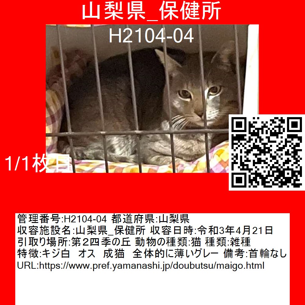 飼い主さんや近所の方心当たりありませんか？
#山梨県 #迷い猫

管理番号:H2104-04
都道府県:山梨県
収容施設名:山梨県_保健所
収容日時:令和3年4月21日
引取り場所:第２四季の丘
動物の種類:猫
種類:雑種