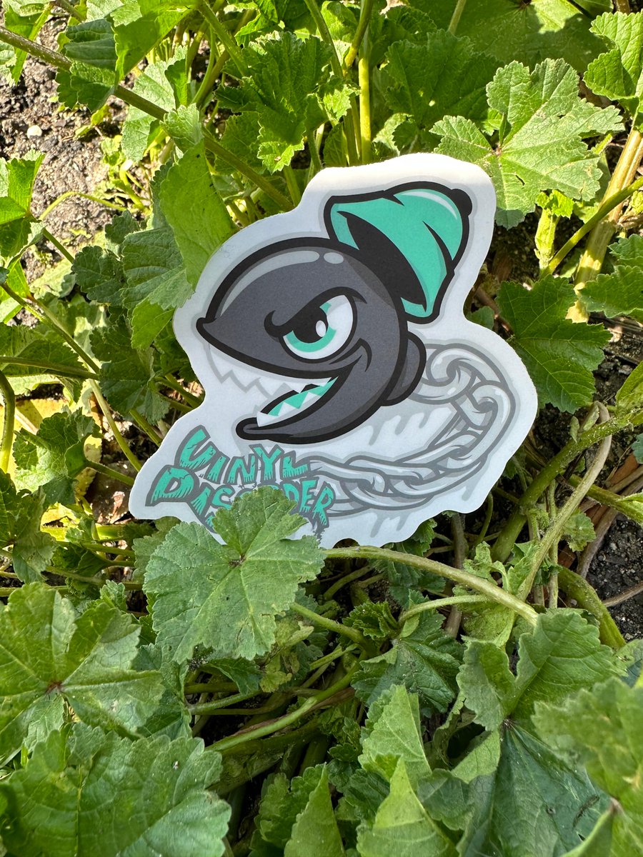 VinylDisorder.com tweet media