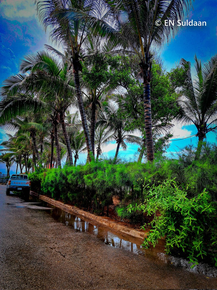 ensuldaan's tweet photo. Soomaliya Cagaaran 
Green Somalia
 الصومال الأخضر 
#Somalia #Muqdisho @MohamedSelh @HarunMaruf https://t.co/OIgTZZ6UnR