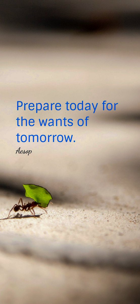 Marvin Gayral tweet media