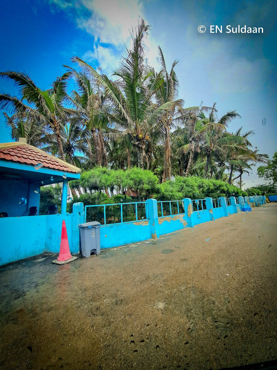 ensuldaan's tweet photo. Soomaliya Cagaaran 
Green Somalia
 الصومال الأخضر 
#Somalia #Muqdisho @MohamedSelh @HarunMaruf https://t.co/OIgTZZ6UnR