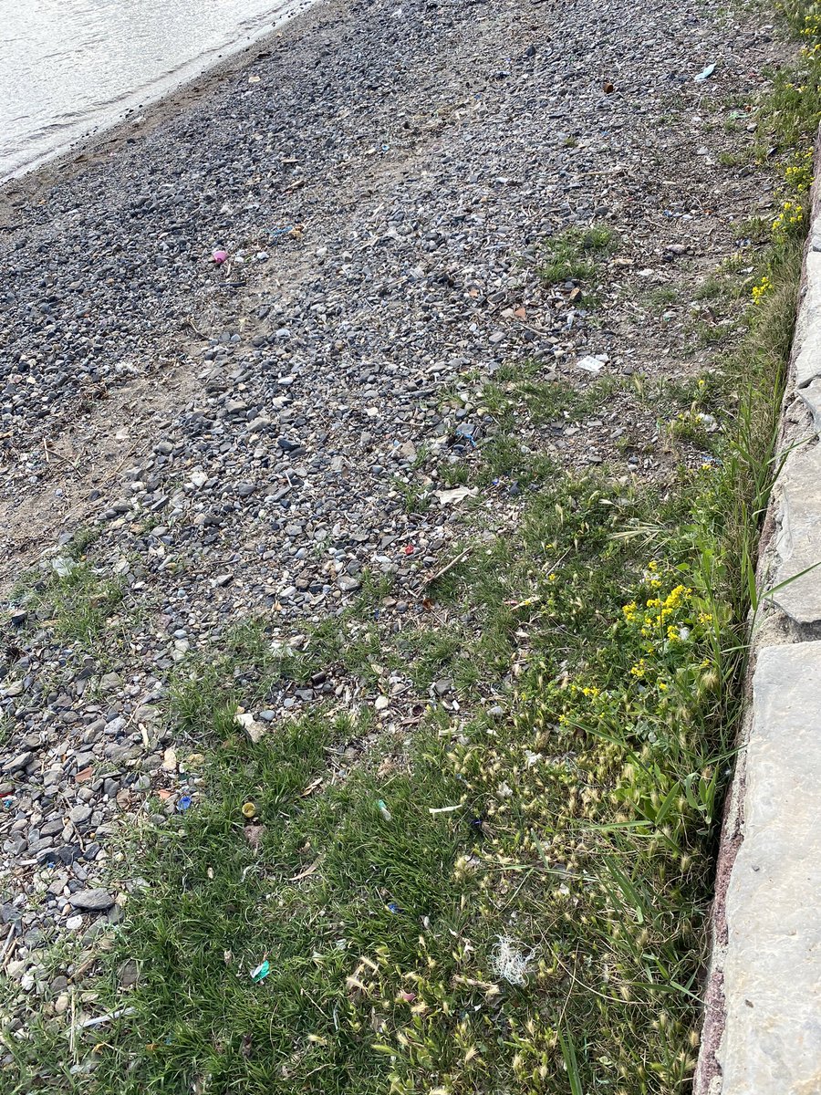 zeynocal's tweet photo. @murat_kurum Eski foça sahilleri çöplük içerisinde. Temizlenmesi düşünülüyor mu? @csbgovtr https://t.co/D4rcadQMyC