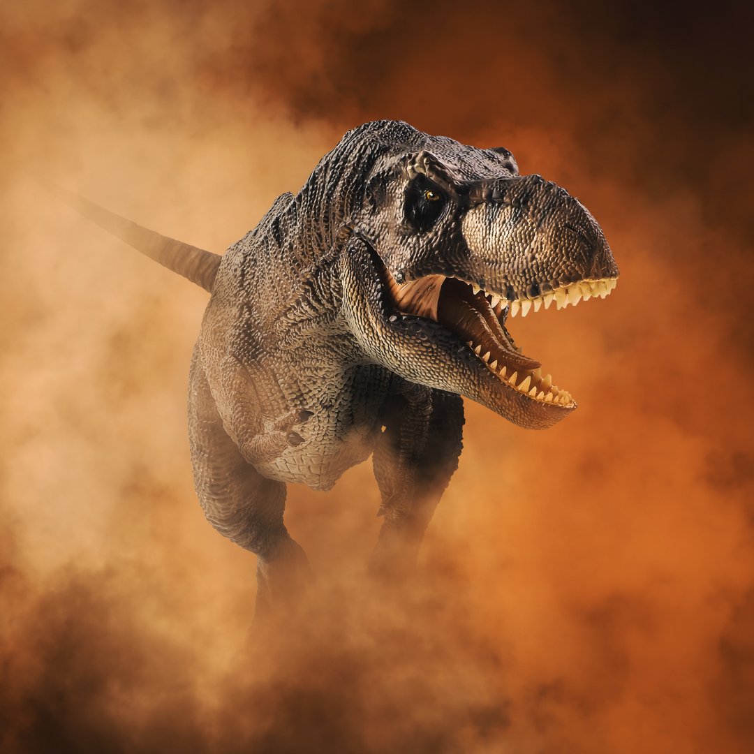 EnglishMaking's tweet image. Did you know the Tyrannosaurus Rex had the strongest bite force of any land animal ever? 🦖💪 
#TyrannosaurusRex #DinosaurFact #Paleontology #DinoFacts #JurassicWorld #DinosaurWebsite
dinosaurfactsforkids.com