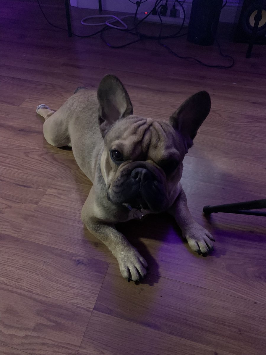 That’s just My Baby Doggy 🐕😍