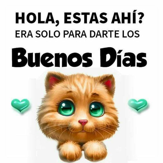 Feliz y bendecido comienzo de semana 🇻🇪

#ConMaduroMásRevolución #FelizLunes #DiaDeAlegria