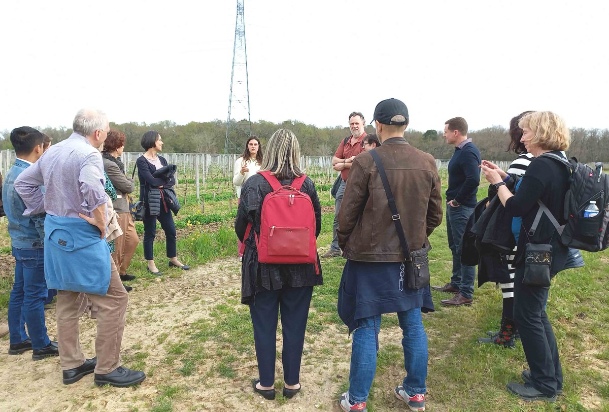 bioazul_spain's tweet photo. 🦠🌱 Our @inextvir project is coming to an end! It has been more than 4 years of research and training activities to generate a better understanding of viral communities and their role in agricultural ecosystems.

All the details of the final conference ➡️ https://t.co/EmI7AUG5SY https://t.co/T4yMTSxPVv