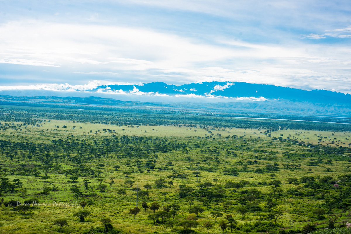 NewmanDixon1's tweet photo. Dreaming of Uganda 🇺🇬 

I woke up in the middle of no where, as the plane was touching down, all i could think about was Monday, maybe i will be back around and if this keeps me much longer,  i dont know what i will do! 

Because all i think about is You #uganda 
#MondayMood https://t.co/UvWJbwbe3K