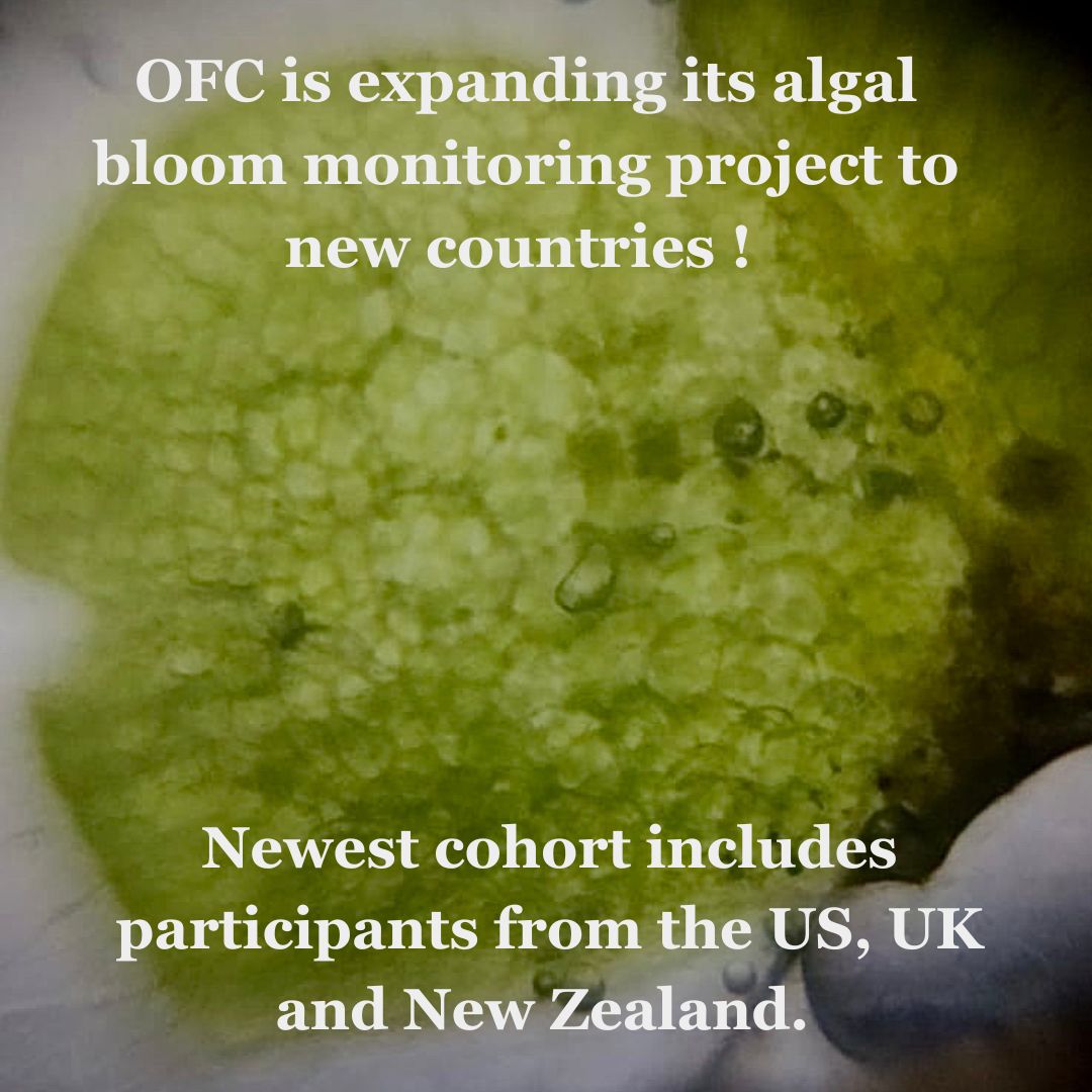 OpenFieldC's tweet photo. https://t.co/hEuebqOvOo