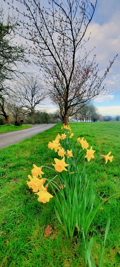 akajools's tweet image. Have a good Monday  x